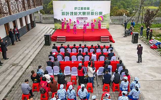 庐江县首届茶叶技能大赛采茶分赛在万山镇举办