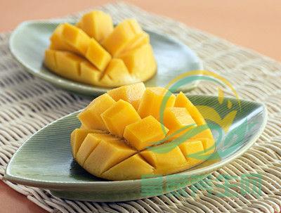 芒果怎么挑选好吃，芒果怎么挑选好吃的品种