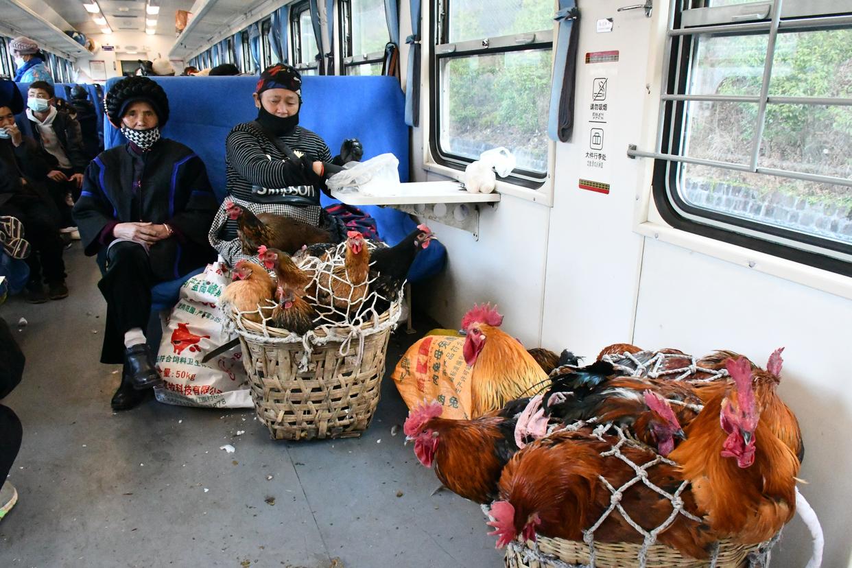 冷冻鸡肉能不能带上火车，冷冻鸡肉能不能带上火车呢