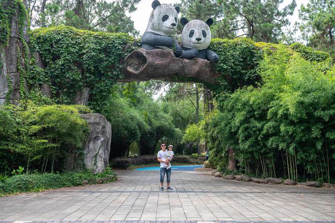 熊猫基地旅游攻略路线-大熊猫基地游玩需要多长时间