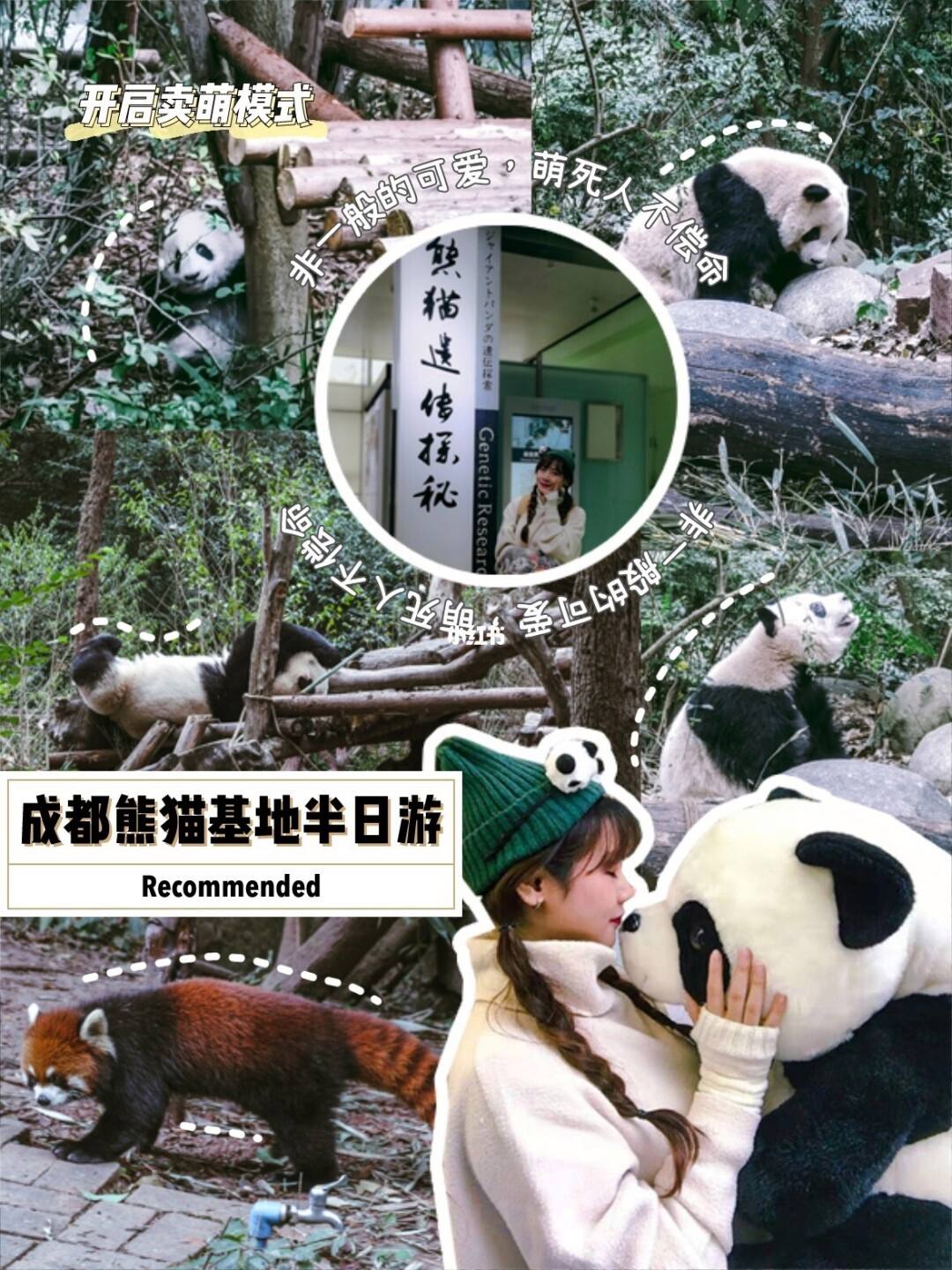 熊猫基地旅游攻略路线-大熊猫基地游玩需要多长时间