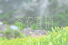 考察“黄山绿牡丹”花型茶基地